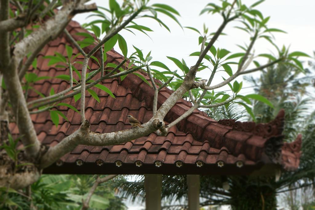 Puri Angsa Saba Apartment Keramas Luaran gambar